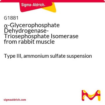 &#945;-Glycerophosphate Dehydrogenase-Triosephosphate Isomerase from rabbit muscle Type III, ammonium sulfate suspension