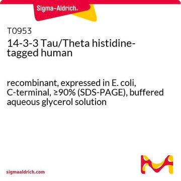 14-3-3 Tau/Theta histidine-tagged human recombinant, expressed in E. coli, C-terminal, &#8805;90% (SDS-PAGE), buffered aqueous glycerol solution