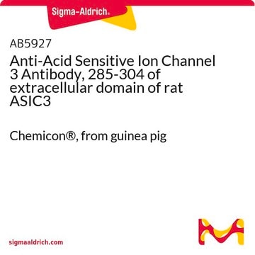 Anti-Acid Sensitive Ion Channel 3 Antibody, 285-304 of extracellular domain of rat ASIC3 Chemicon&#174;, from guinea pig