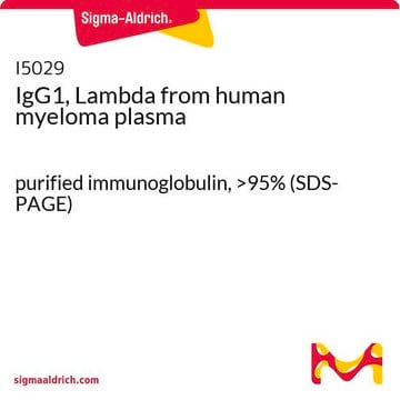 IgG1, Lambda from human myeloma plasma purified immunoglobulin, &gt;95% (SDS-PAGE)