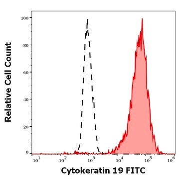 Monoclonal Anti-Cytokeratin 19 FITC produced in mouse