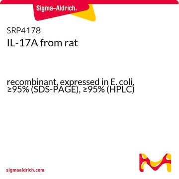 IL-17A from rat recombinant, expressed in E. coli, &#8805;95% (SDS-PAGE), &#8805;95% (HPLC)