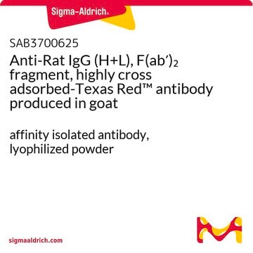 Anti-Rat IgG (H+L), F(ab&#8242;)2 fragment, highly cross adsorbed-Texas Red&#8482; antibody produced in goat affinity isolated antibody, lyophilized powder