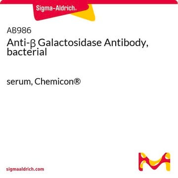 Anticorps anti-&#946;&nbsp;galactosidase, bactérien serum, Chemicon&#174;