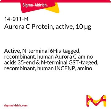 Aurora C Protein, active, 10 &#181;g Active, N-terminal 6His-tagged, recombinant, human Aurora C amino acids 35-end &amp; N-terminal GST-tagged, recombinant, human INCENP, amino acids 821-end. For use in Kinase Assays.