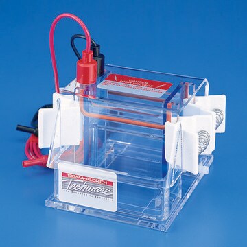 Vertical electrophoresis unit, fixed height, dual gel Dual mini