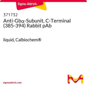 Anti-Gs&#945;-Subunit, C-Terminal (385-394) Rabbit pAb liquid, Calbiochem&#174;