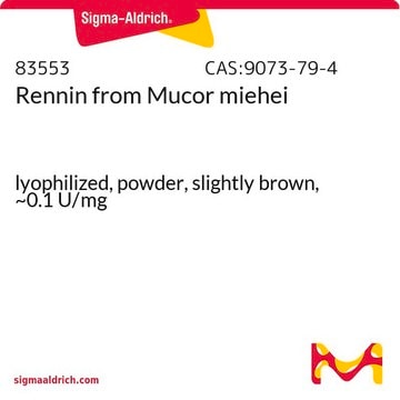 Rennin from Mucor miehei lyophilized, powder, slightly brown, ~0.1&#160;U/mg