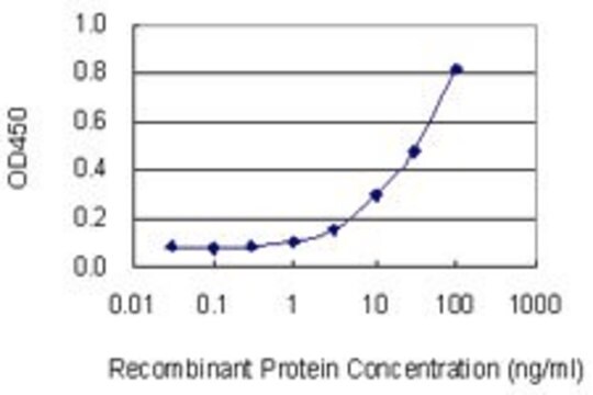 Monoclonal Anti-EIF4E2 antibody produced in mouse clone 1F3, purified immunoglobulin, buffered aqueous solution