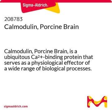 Kalmodulina, mózg świni Calmodulin, Porcine Brain, is a ubiquitous Ca2+-binding protein that serves as a physiological effector of a wide range of biological processes. Purified from porcine brain.