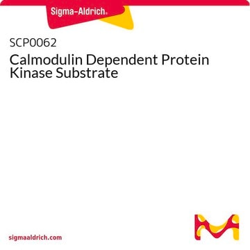 Calmodulin Dependent Protein Kinase Substrate