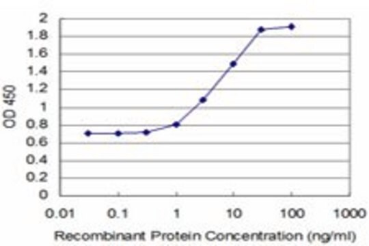 Monoclonal Anti-STMN2 antibody produced in mouse clone 1D3, purified immunoglobulin, buffered aqueous solution