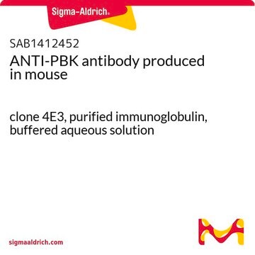 ANTI-PBK antibody produced in mouse clone 4E3, purified immunoglobulin, buffered aqueous solution