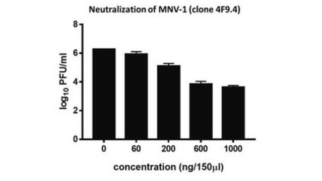 Anti-Norovirus (MNV-1) Antibody, clone 4F9.4 clone 4F9.4, from mouse