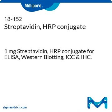 Estreptavidina conjugada con HRP 1 mg Streptavidin, HRP conjugate for ELISA, Western Blotting, ICC &amp; IHC.