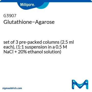 Agarose&#8722;glutathion set of 3 pre-packed columns (2.5 ml each), (1:1 suspension in a 0.5 M NaCl + 20% ethanol solution)