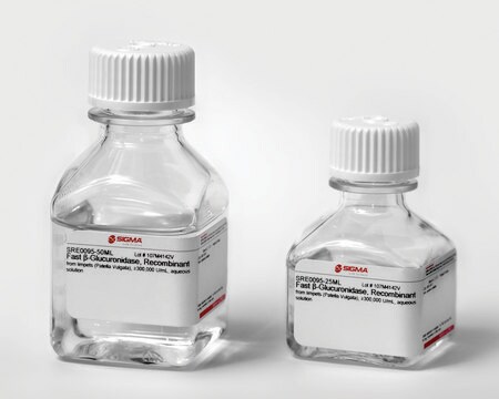 &#946;-glucuronidase from limpets (Patella vulgata) from limpets (Patella Vulgata), aqueous solution