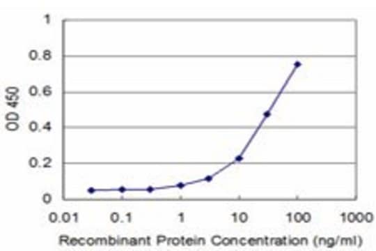 Monoclonal Anti-NHLH2 antibody produced in mouse clone 3E3, purified immunoglobulin, buffered aqueous solution