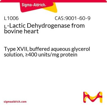 L-Lactic Dehydrogenase from bovine heart Type XVII, buffered aqueous glycerol solution, &#8805;400&#160;units/mg protein