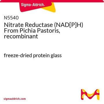 Nitrate Reductase (NAD[P]H) From Pichia Pastoris, recombinant freeze-dried protein glass