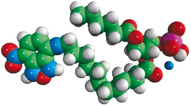 06:0-12:0 NBD PA Avanti Research&#8482; - A Croda Brand 810178P, powder