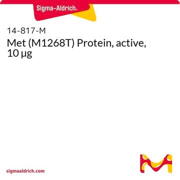 Met (M1268T) Protein, active, 10 &#181;g