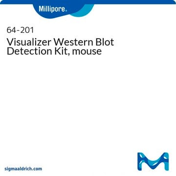 Visualizer Western Blot Detection Kit, mouse