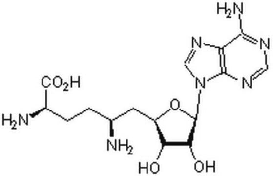 InSolution Sinefungin, CAS-Nr. 58944-73-3, Calbiochem InSolution, &#8805;95%, antibiotic