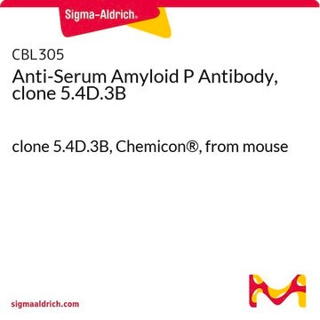 Anti-Serum Amyloid P Antibody, clone 5.4D.3B clone 5.4D.3B, Chemicon&#174;, from mouse