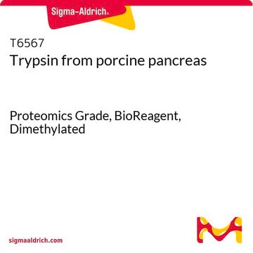 Trypsine from porcine pancreas Proteomics Grade, BioReagent, Dimethylated