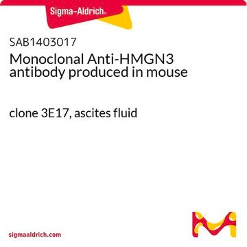 Monoclonal Anti-HMGN3 antibody produced in mouse clone 3E17, ascites fluid