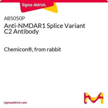 Anti-NMDAR1 Splice Variant C2 Antibody Chemicon&#174;, from rabbit