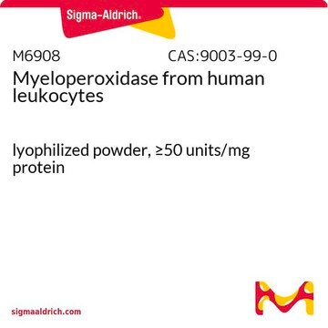 髓过氧化物酶 来源于人类白血球 lyophilized powder, &#8805;50&#160;units/mg protein