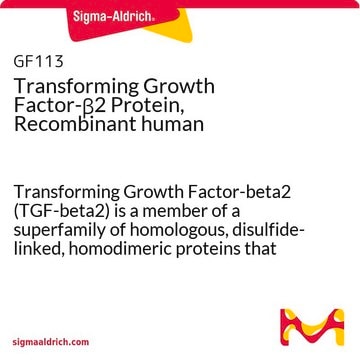 Factor de crecimiento transformante-&#946;2, proteína , humana recombinante Transforming Growth Factor-beta2 (TGF-beta2) is a member of a superfamily of homologous, disulfide-linked, homodimeric proteins that regulate the proliferation &amp; differentiation of normal &amp; transformed cells.