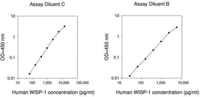 人WISP-1 / CCN4 ELISA试剂盒 for serum, plasma, cell culture supernatant and urine