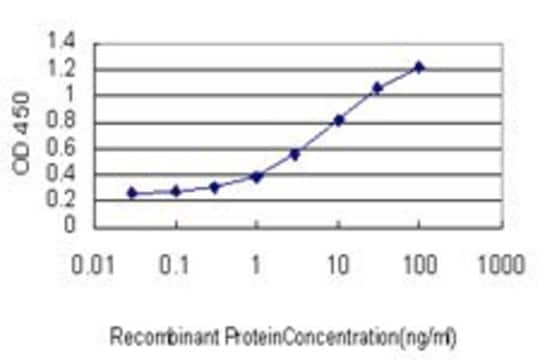 Monoclonal Anti-CILP antibody produced in mouse clone 2C5, purified immunoglobulin, buffered aqueous solution