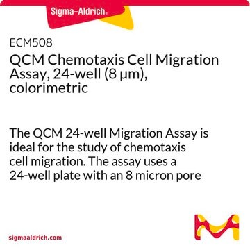 Test de migration cellulaire par chimiotactisme QCM, 24&nbsp;puits (8&nbsp;&#181;m), colorimétrique The QCM 24-well Migration Assay is ideal for the study of chemotaxis cell migration. The assay uses a 24-well plate with an 8 micron pore size, with colorimetric detection.