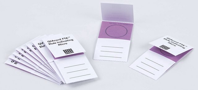 Microtarjetas QIAcard&#8482; FTA&#8482; elute Indicating, one sample area per card, pkg of 25 cards