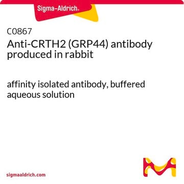 Anti-CRTH2 (GRP44) antibody produced in rabbit affinity isolated antibody, buffered aqueous solution