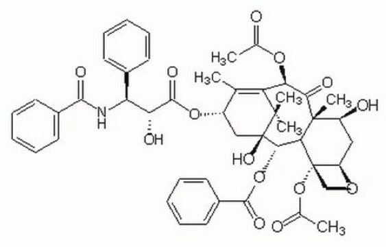 Paclitaxel, Taxus sp. – CAS-Nr. 33069-62-4, Calbiochem Antitumor and antileukemic agent isolated from the bark of the yew tree.