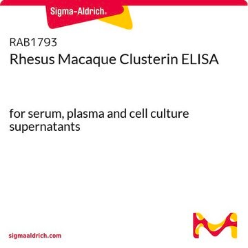 Rhesus Macaque Clusterin ELISA for serum, plasma and cell culture supernatants