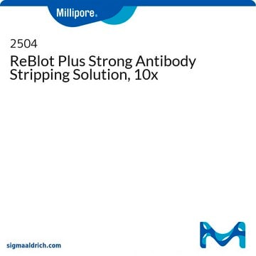 Solution de déconjugaison des anticorps ReBlot Plus Strong (forte), concentrée&nbsp;10&nbsp;×