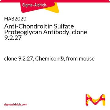 Anticuerpo anti-proteoglucano de sulfato de condroitina, clon 9.2.27 clone 9.2.27, Chemicon&#174;, from mouse