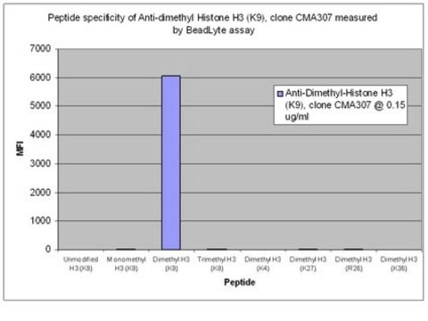 Anticuerpo anti-dimetil histona H3 (Lys9), clon CMA307 clone CMA307, from mouse