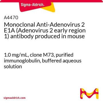 Monoclonal Anti-Adenovirus 2 E1A (Adenovirus 2 early region 1) antibody produced in mouse 1.0&#160;mg/mL, clone M73, purified immunoglobulin, buffered aqueous solution