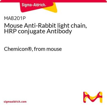 Mouse Anti-Rabbit light chain, HRP conjugate Antibody Chemicon&#174;, from mouse