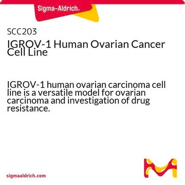 IGROV-1 Línea celular de cáncer de ovario humano IGROV-1 human ovarian carcinoma cell line is a versatile model for ovarian carcinoma and investigation of drug resistance.