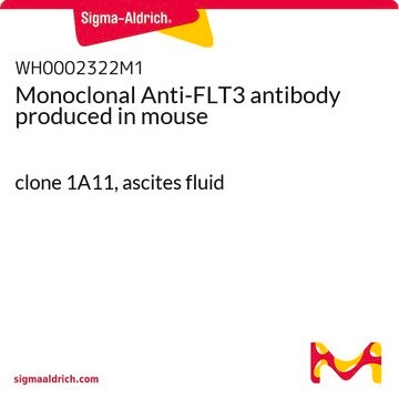 Monoclonal Anti-FLT3 antibody produced in mouse clone 1A11, ascites fluid