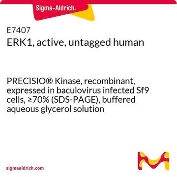 ERK1, active, untagged human PRECISIO&#174; Kinase, recombinant, expressed in baculovirus infected Sf9 cells, &#8805;70% (SDS-PAGE), buffered aqueous glycerol solution