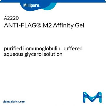 抗-FLAG&#174; M2亲和凝胶 purified immunoglobulin, buffered aqueous glycerol solution